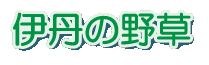 伊丹の野草