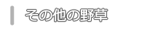 その他の野草